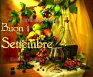 FB_IMG_1661983188727.jpg
