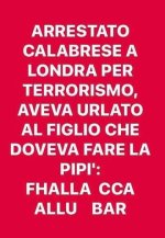 FB_IMG_1662047261015.jpg