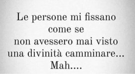 FB_IMG_1662042141929.jpg
