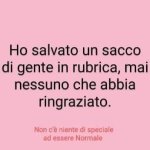 FB_IMG_1662024885833.jpg