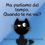FB_IMG_1662110356252.jpg