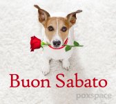 buon-sabato-sera-amici.jpg