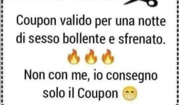 FB_IMG_1662215964991.jpg