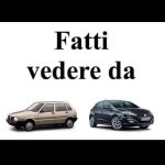 FB_IMG_1662288209779.jpg