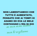 FB_IMG_1662288190405.jpg