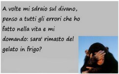 08.jpg