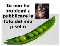 09.jpg