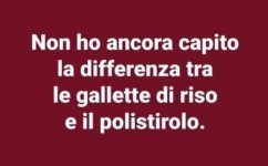 FB_IMG_1662650996433.jpg