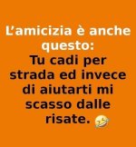 FB_IMG_1662736974913.jpg