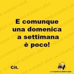 FB_IMG_1662896288122.jpg