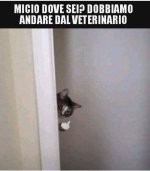 FB_IMG_1662976977560.jpg