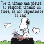 FB_IMG_1662976583349.jpg