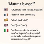 FB_IMG_1663043170098.jpg
