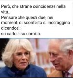 FB_IMG_1663130802185.jpg