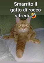 _ (6).jpeg