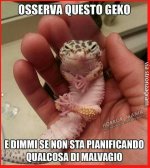 manca solo la musichetta strana di sottofondo_.. _))).jpg