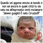 FB_IMG_1663480258164.jpg