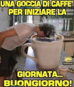 IMG-20171011-WA0004.jpg