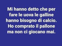 FB_IMG_1663671773219.jpg