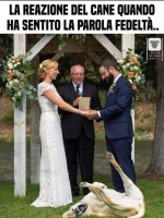 FB_IMG_1663654247787.jpg