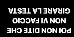 FB_IMG_1663672091148.jpg