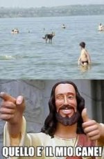 images.jpeg