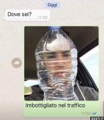 _ (5).jpeg