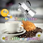 FB_IMG_1663886616332.jpg