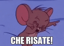 ridere-risate.gif