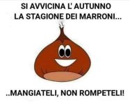 FB_IMG_1662702771833.jpg