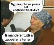 06.jpg