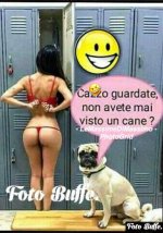 FB_IMG_1664200550184.jpg