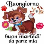 immagini-del-buongiorno-buon-martedi-bellissime-10_0.jpg