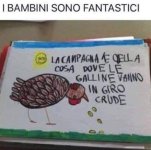 FB_IMG_1664777028957.jpg