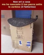 FB_IMG_1664652893400.jpg