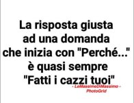 FB_IMG_1664902858916.jpg