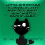 FB_IMG_1664895332173.jpg