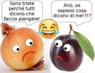 FB_IMG_1664867372586.jpg