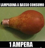 FB_IMG_1664863128807.jpg