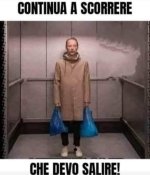 FB_IMG_1664985120941.jpg