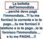 FB_IMG_1664970069506.jpg