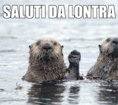 FB_IMG_1665075982796.jpg