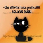 FB_IMG_1665161643847.jpg