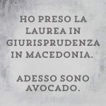 FB_IMG_1665140735064.jpg
