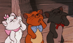 tumblr_mpbk1a3LiN1s392ayo1_500.gif