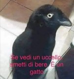 FB_IMG_1665246607381.jpg