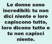 FB_IMG_1665244391543.jpg