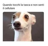 FB_IMG_1665485203455.jpg