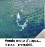 FB_IMG_1665641150025.jpg