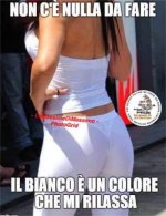 FB_IMG_1665930209744.jpg